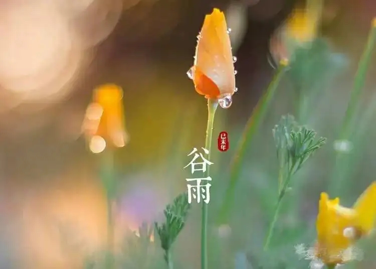 通又盛新闻图.jpg